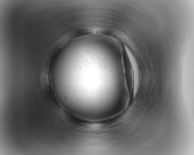 X0000088410313200706051158