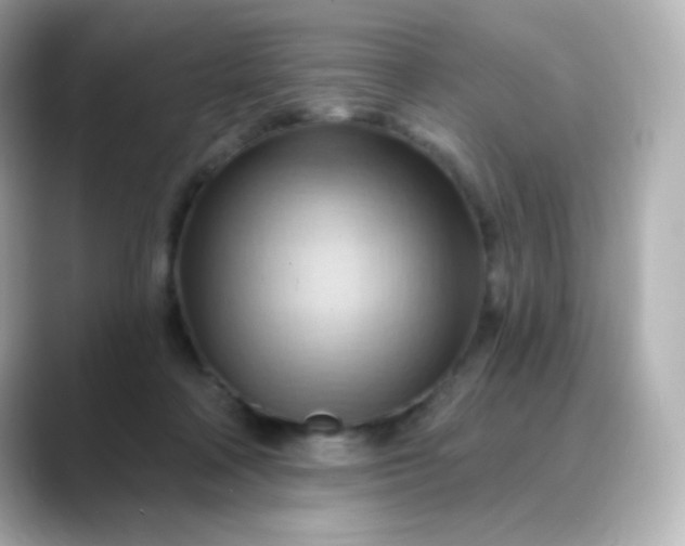 X0000088410314200706051158