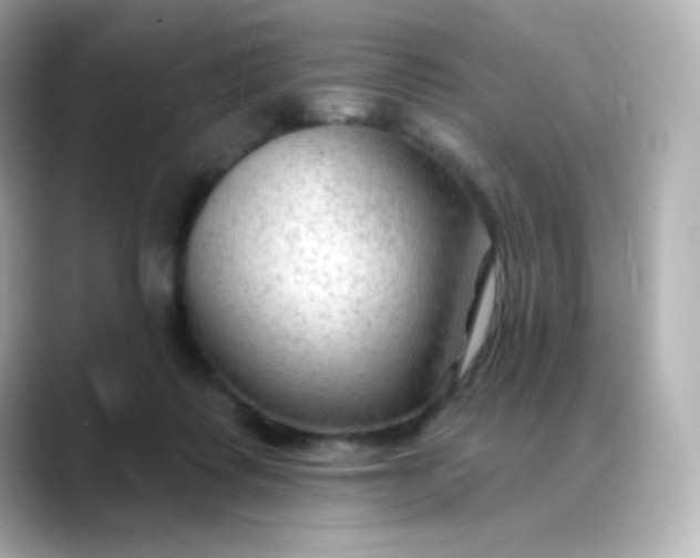 X0000088410315200706051158