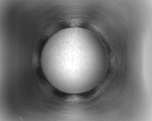 X0000088410316200706051158