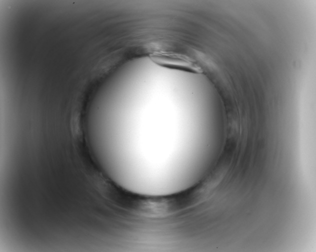 X0000088410317200706051158