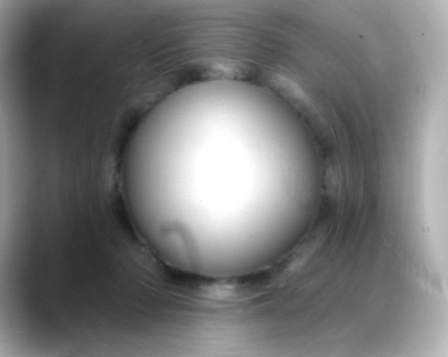 X0000088410318200706051158