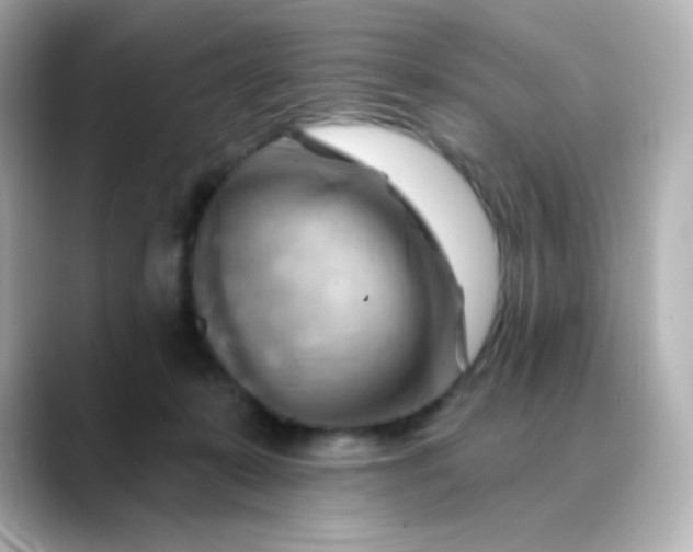 X0000088410319200706051158