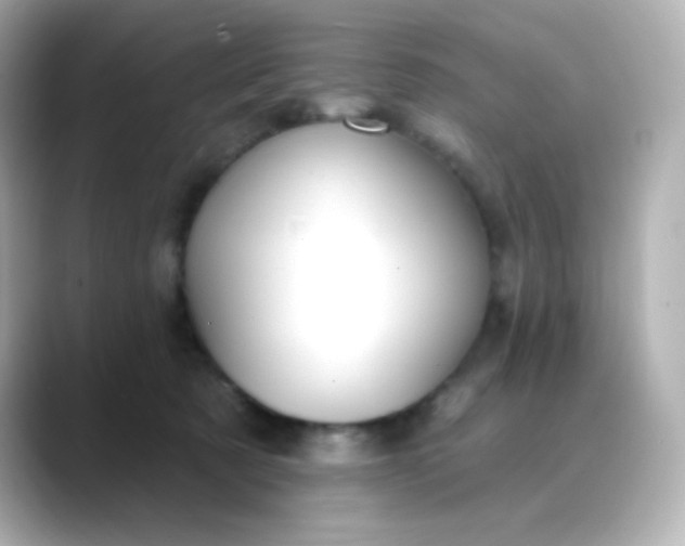 X0000088410321200706051158