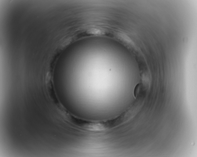 X0000088410322200706051158