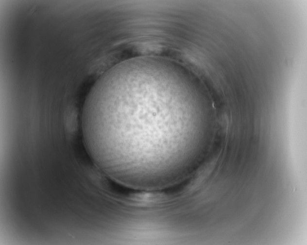 X0000088410323200706051158