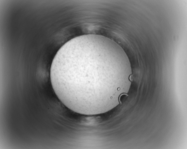 X0000088410324200706051158