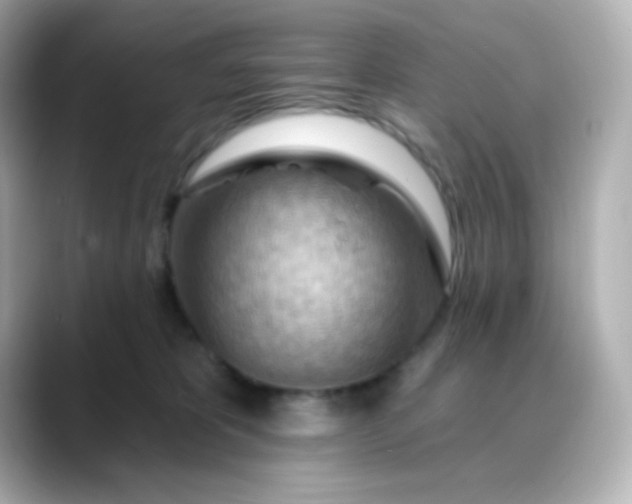 X0000088410325200706051158