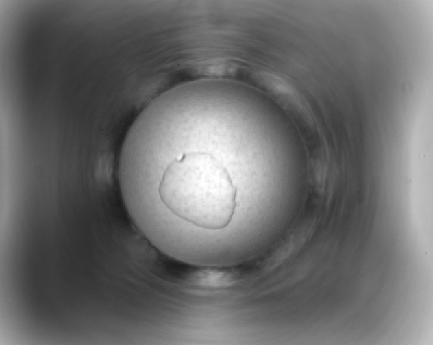 X0000088410326200706051158