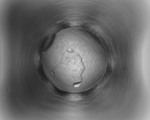 X0000088410327200706051158