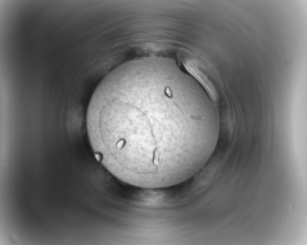 X0000088410328200706051158