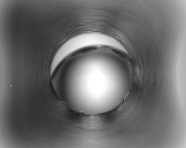 X0000088410329200706051158