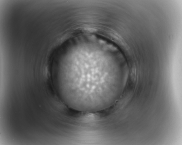 X0000088410330200706051158