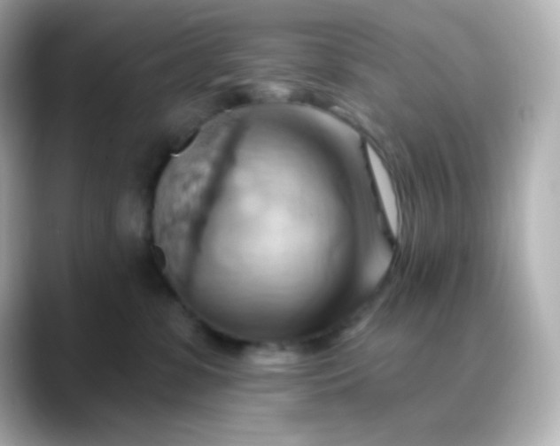 X0000088410331200706051158