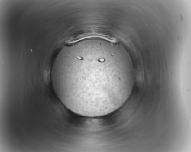 X0000088410332200706051158