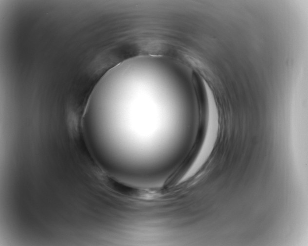 X0000088410333200706051158