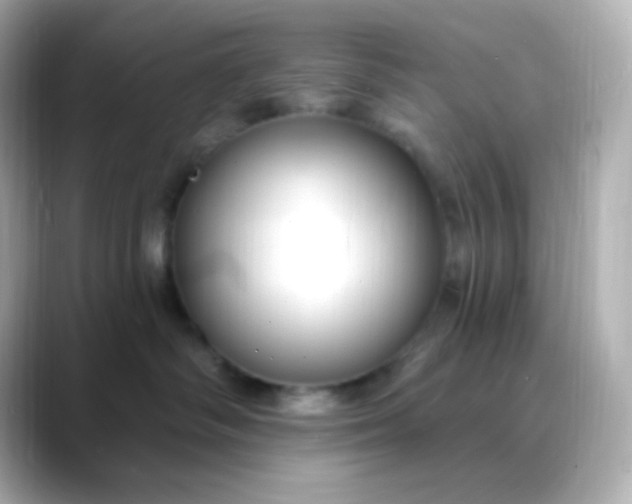 X0000088410334200706051158