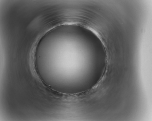 X0000088410337200706051157