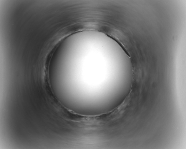 X0000088410338200706051157