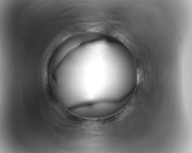 X0000088410339200706051157