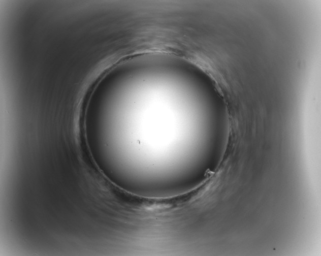 X0000088410340200706051157