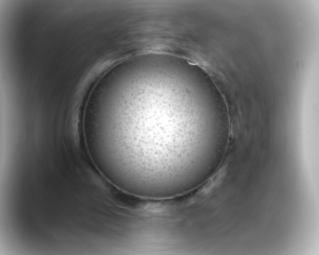 X0000088410341200706051157