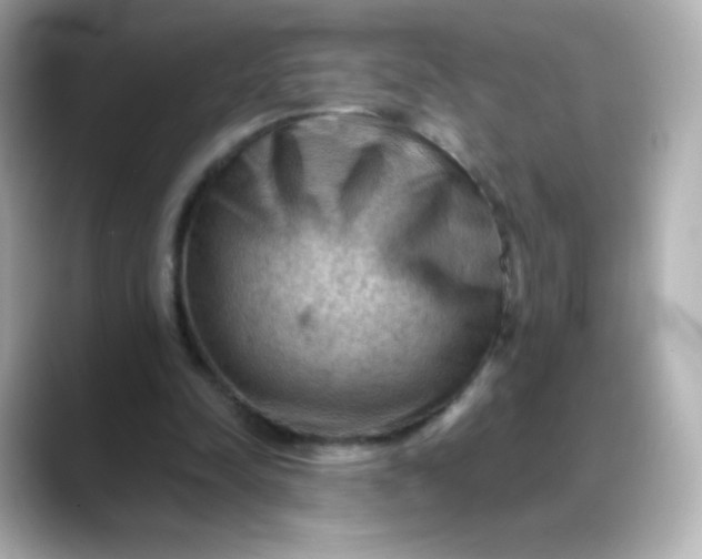 X0000088410342200706051157