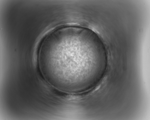 X0000088410343200706051157