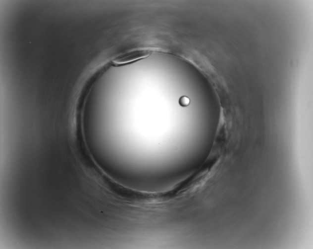 X0000088410344200706051157