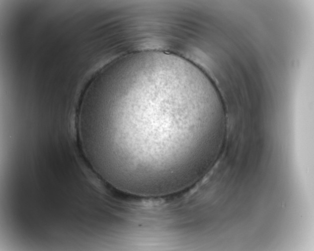 X0000088410345200706051157