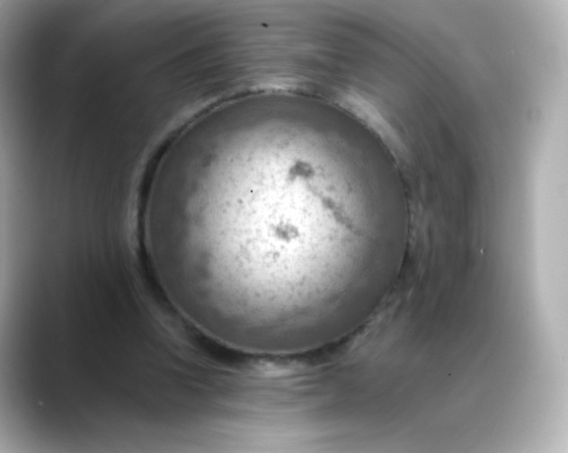 X0000088410346200706051157