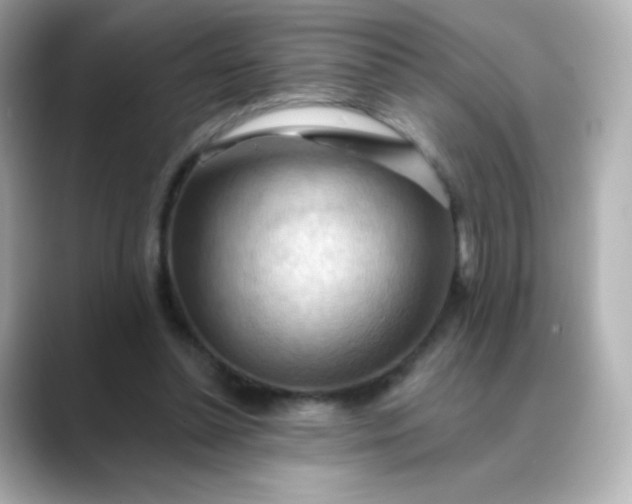 X0000088410348200706051157