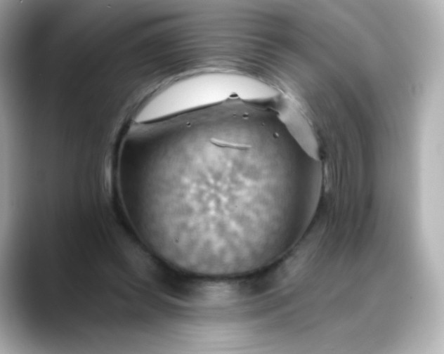 X0000088410349200706051158