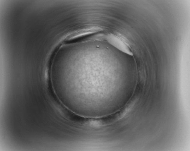 X0000088410350200706051158