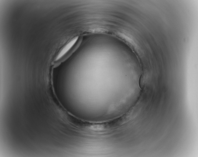 X0000088410353200706051158