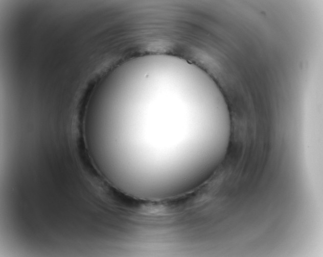 X0000088410354200706051158