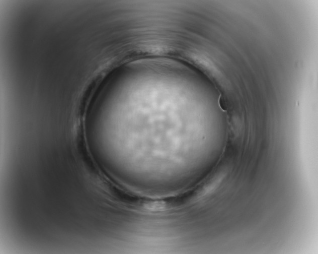 X0000088410355200706051158