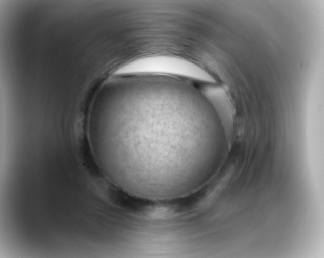 X0000088410356200706051158