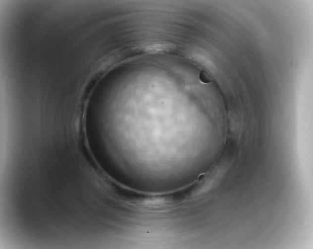 X0000088410357200706051158