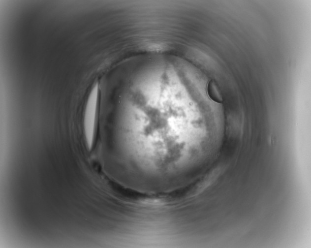 X0000088410358200706051158