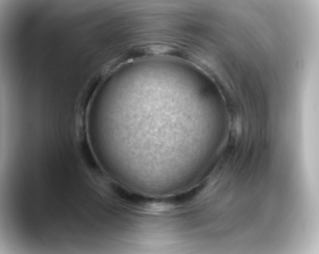 X0000088410360200706051158