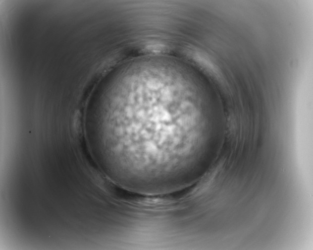 X0000088410361200706051158