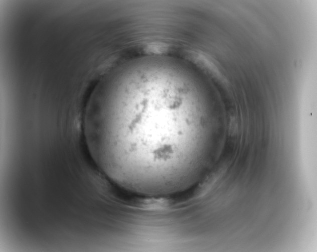 X0000088410363200706051158