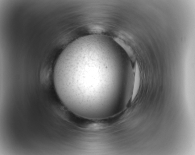 X0000088410364200706051158