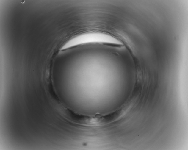 X0000088410365200706051158