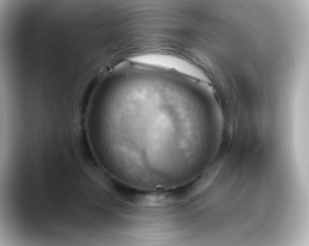 X0000088410366200706051158