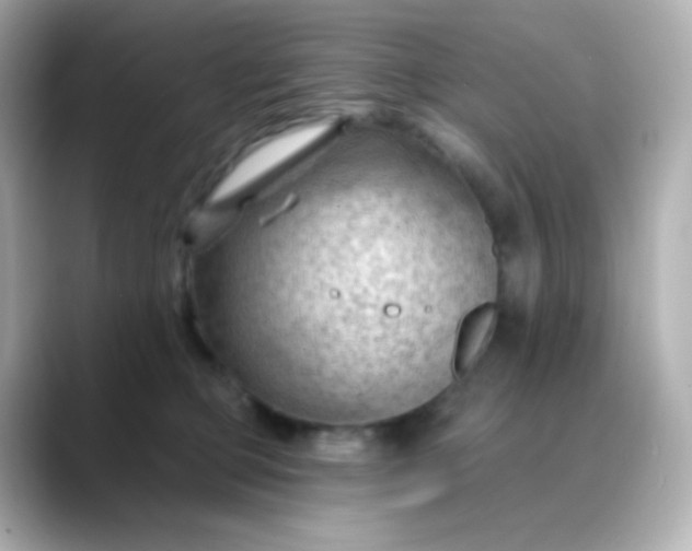 X0000088410373200706051158