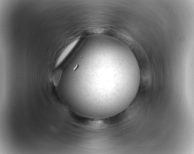 X0000088410374200706051158