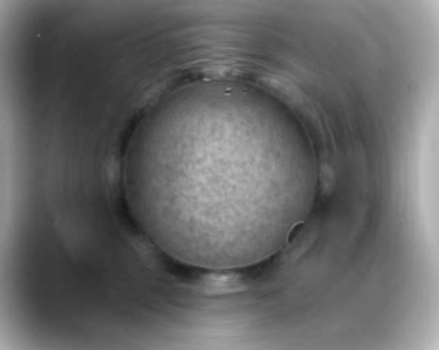 X0000088410375200706051158