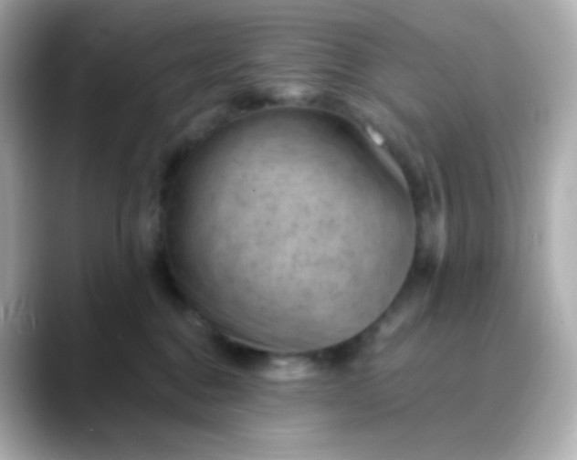 X0000088410376200706051158